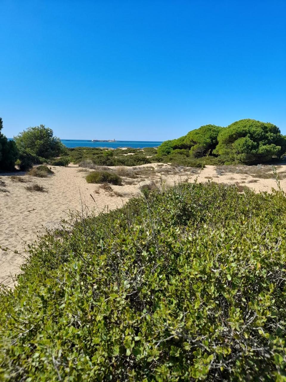 Apartamento Playa La Barrosa ชิกลานา เด ลา ฟรอนเตรา ภายนอก รูปภาพ